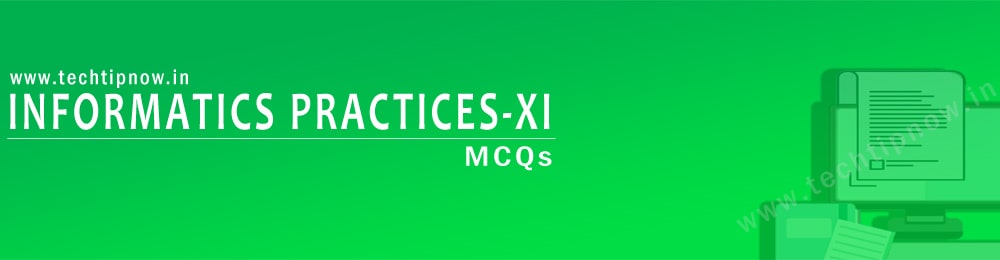 IP Class 11 MCQ techtipnow